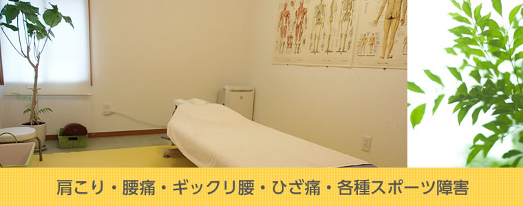 肩こり・腰痛・ぎっくり腰治療・膝痛・各種スポーツ障害・マッサージ